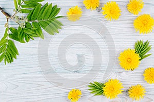 Decorative spring frame of yellow dandelion flowers and green leaves on light blue wooden board. Copy space, top view.