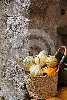 Decorative squashes and pumpkin in wicker basket