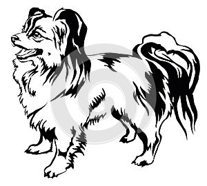 Decorative standing portrait of dog Papillon vector illustration