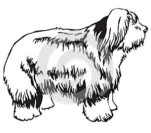 Decorative standing portrait of Old English Sheepdog vector illustration