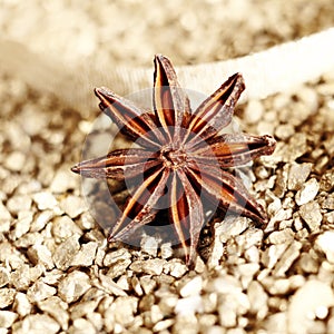 Decorative star anise