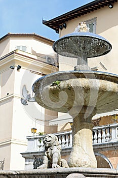 Decorative stone fountain with flying dove