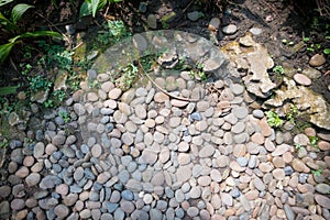 Decorative stone, green plant garden background. round pebble texture daylight