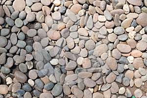 Decorative stone pebble background. round gravel texture garden