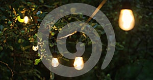 Decorative string lights hanging for outdoor party