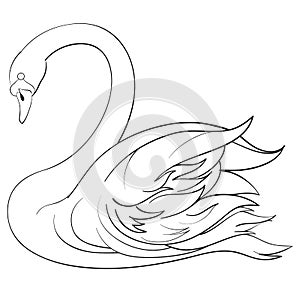 Decorative swan swims in the water, bowing its head low, outline drawing, isolated object on a white background,