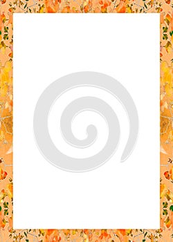 Decorative Swirls Frame Background