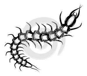 Decorative tattoo with centipede insect