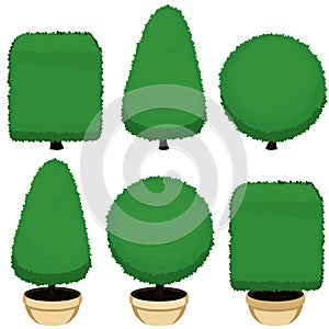 Decorative topiary bushes illustration