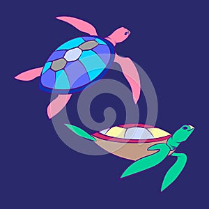 Decorative tortoise cartoon vector illustration. Turtles isolated on blue background. Graphic animal illustration