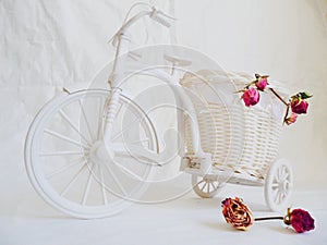 decorative toy bike and dried rose buds