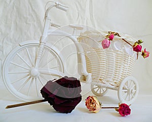 decorative toy bike and dried rose buds