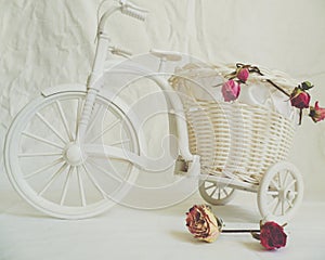 decorative toy bike and dried rose buds