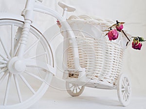 decorative toy bike and dried rose buds