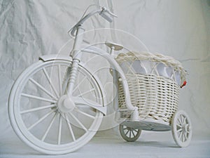 decorative toy bike and dried rose buds