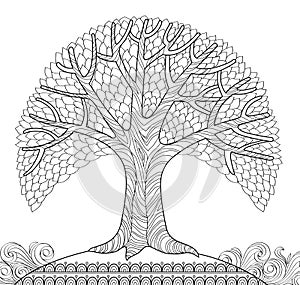 Decorative tree. Adult antistress coloring page. Black and white hand drawn doodle for coloring book