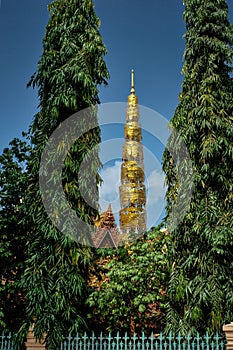 Decorative tree in grounds of Royal Palace Phnom Penh