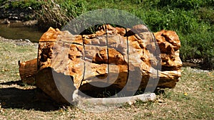 Decorative tree made of wood