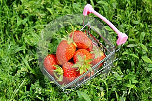 Decorative trolley filled with juicy strawberries standing in the grass