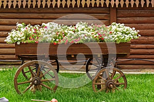 Decorative trolley with flowers on a green lawn in summer.