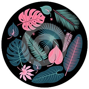 Tropical plant leaves. Vector illustration collection.