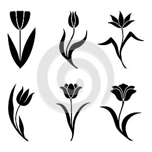 Decorative tulip icon set