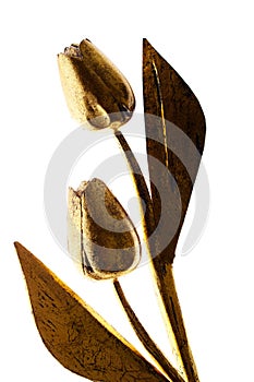 Decorative tulips made of wood and covered with gold paint isolated