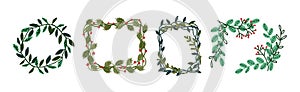 Decorative Twig and Branch Border and Element Vector Set