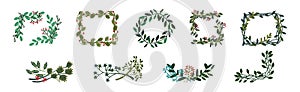 Decorative Twig and Branch Border and Element Vector Set