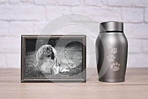 Decorative urn , next to a photograph of the beloved dog on the table.