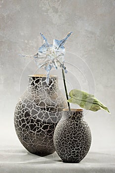 Decorative vases and flowers