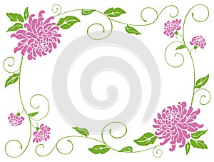 Decorative vector floral frame from pink chrysanthemums with green leaves,tendrils, decoration for greeting cards, invitations