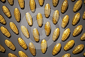 decorative wall in the interior made of gilded cocoa