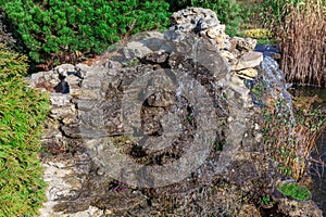 Decorative water cascade