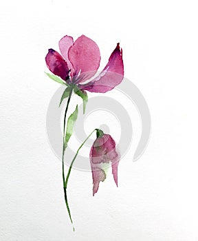 decorative watercolor flower background. watercolor flowers. pink flower. Floral illustration for printing on fabric and design