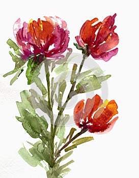 decorative watercolor flower background. watercolor flowers. Red flowers. Floral illustration for printing on fabric and design