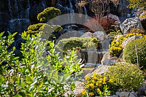 Decorative waterfall park. Green summer natural background