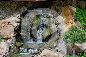 Decorative waterfall on rocks covered with algae decorated with a small pine tree Japanese garden