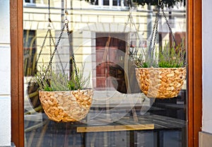 Decorative wattled cache-pots with a heather hang before a window