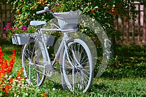 A decorative white bicycle with flower pots surrounded by flower beds. White bicycle in a green garden. Selective focus