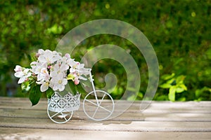 Decorative white retro bike with apple flowers on greensunny background