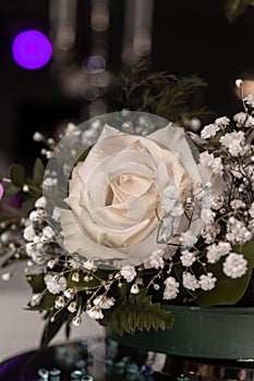 Decorative white rose in the wedding