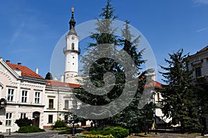 decorative white stucco fire watch tower in the city of Veszprem, Hungary. famous landmark. lush green park in the foreground