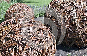 Decorative wicker spheres from tangled brushwoods