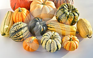 Decorative winter squashes