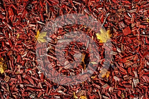 Decorative wood chips with autumn leaves. The slivers are red, the leaves are yellow.