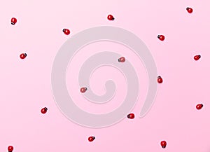 Decorative wooden ladybugs on a pink surface