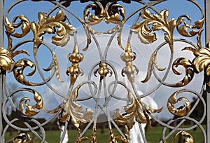 Decorative wrought iron gilded gates