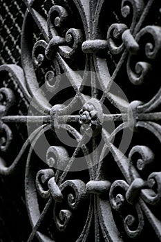 Decorative wrought iron security