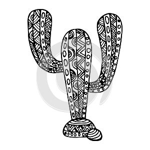 Decorative zentangle cactus